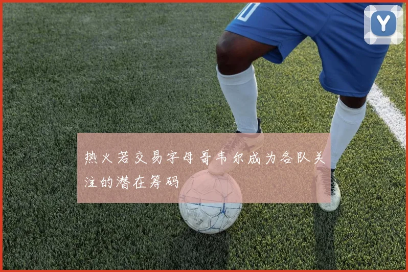 热火若交易字母哥韦尔成为各队关注的潜在筹码