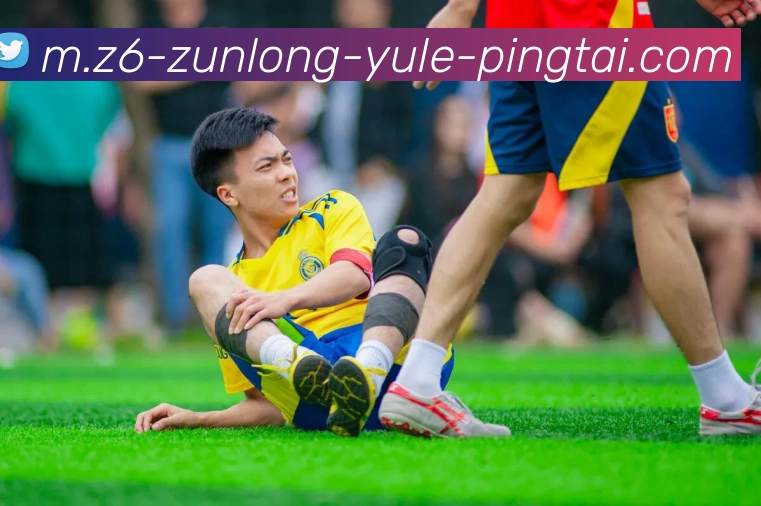 奖项证书